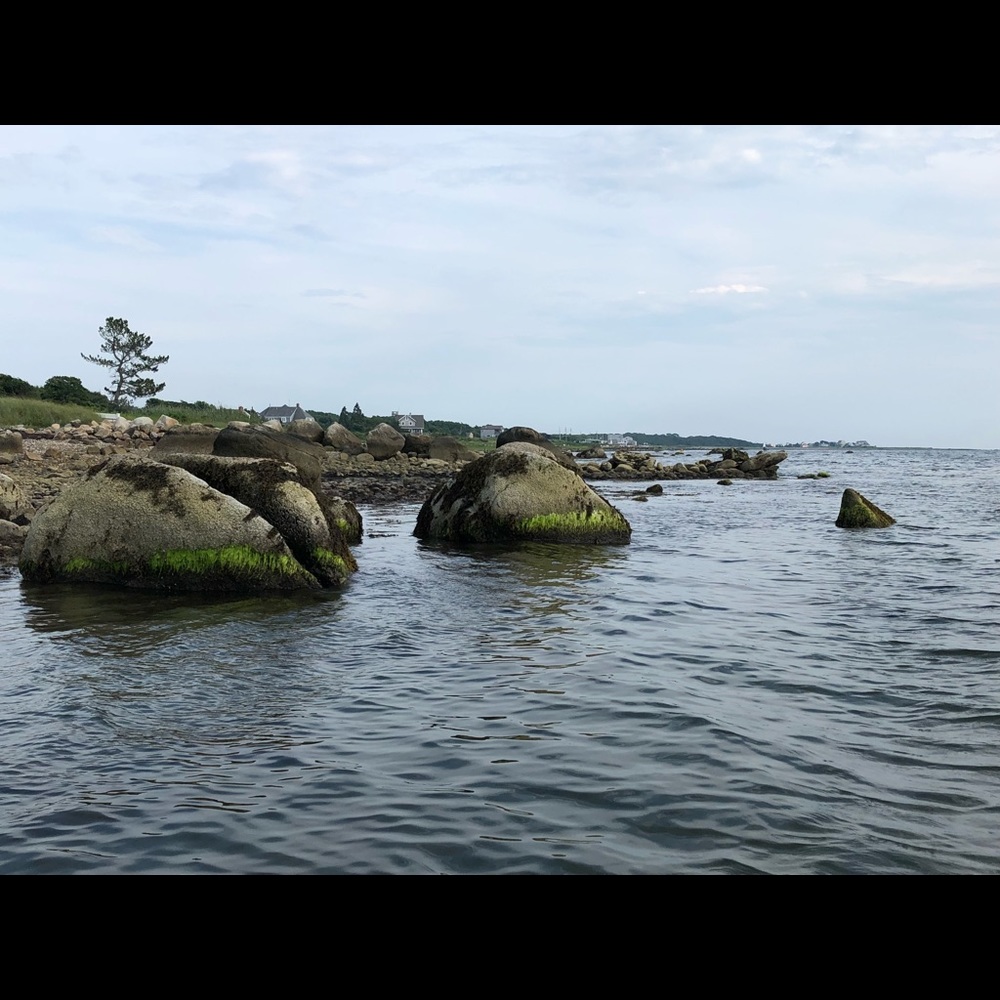 Meet your Posher, Cheryl